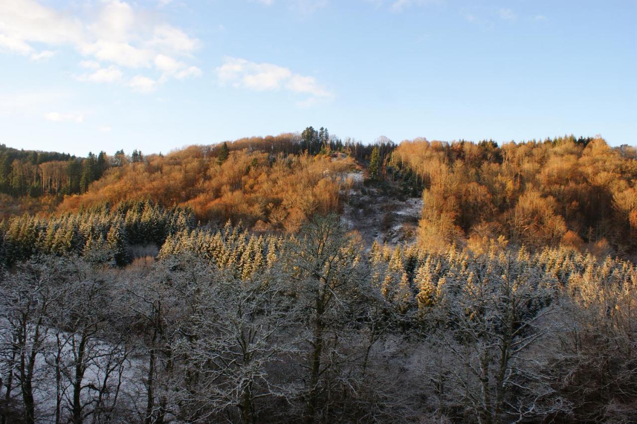 Le P'Tit Gite De Chomet La Tour-dʼAuvergne Exteriör bild